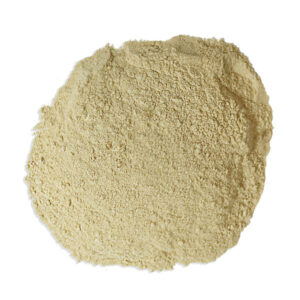 Ginseng - Panax Powder bio