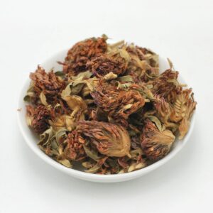 Κόκκινο Τριφύλλι