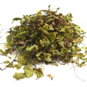 Πολυτρίχι - Αδίαντος